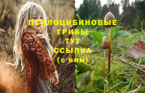 ALPHA PVP Алексеевка