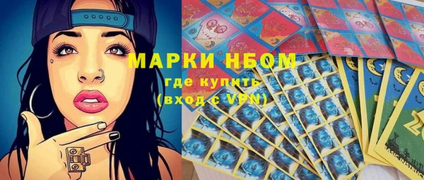 PSILOCYBIN Алзамай