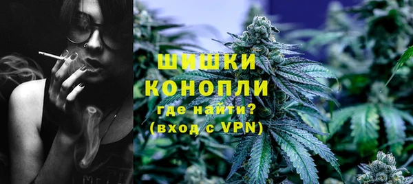 PSILOCYBIN Алзамай