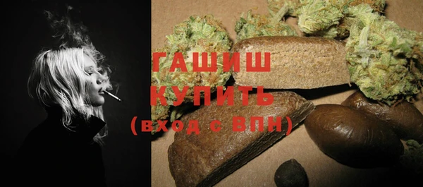 PSILOCYBIN Алзамай