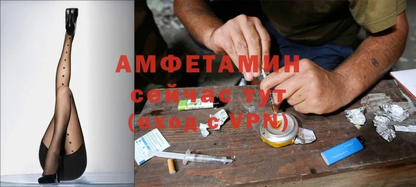 PSILOCYBIN Алзамай