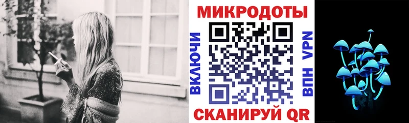 Псилоцибиновые грибы Psilocybe Алапаевск